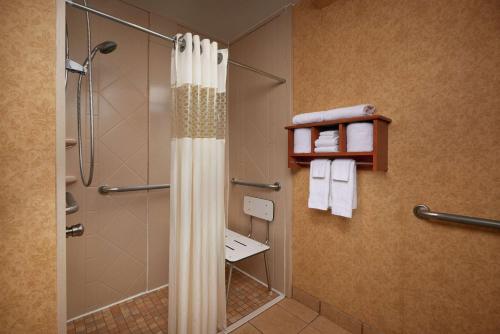 y baño con ducha y cortina de ducha. en Hampton Inn Franklin, en Franklin