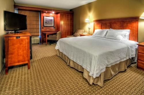 Cette chambre comprend un lit et une télévision à écran plat. dans l'établissement Hampton Inn Franklin, NC, à Franklin