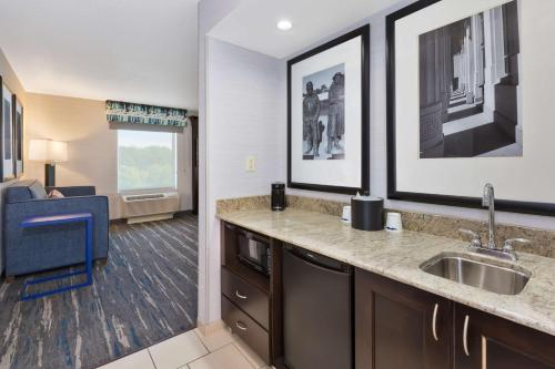 a kitchen with a sink and a living room at Hampton Inn and Suites Flint/Grand Blanc in Flint
