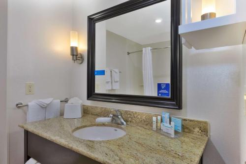 a bathroom with a sink and a mirror at Hampton Inn and Suites Flint/Grand Blanc in Flint