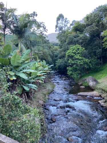 a stream in the middle of a jungle with trees at Pousada Altitude 1200 in Fazendinha