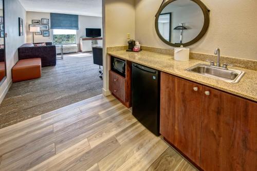 a kitchen with a sink and a counter with a mirror at Hampton Inn & Suites Fort Myers Estero in Estero