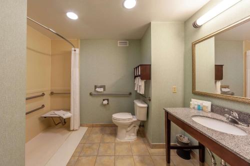 a bathroom with a toilet and a sink and a mirror at Hampton Inn Front Royal in Front Royal