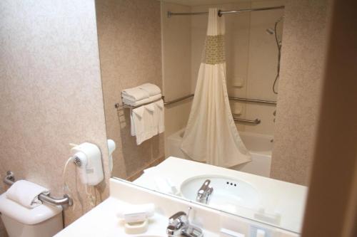 La salle de bains est pourvue d'un lavabo, de toilettes et d'un miroir. dans l'établissement Hampton Inn Greeneville, à Greeneville