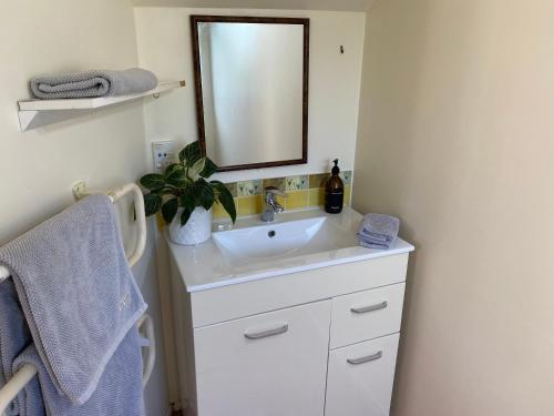 a bathroom with a sink and a mirror at Oneroa Chalet in Oneroa