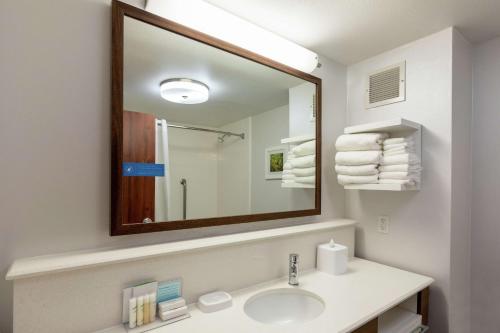 ein Badezimmer mit einem Waschbecken und einem großen Spiegel in der Unterkunft Hampton Inn Houston/Humble-Airport Area in Humble