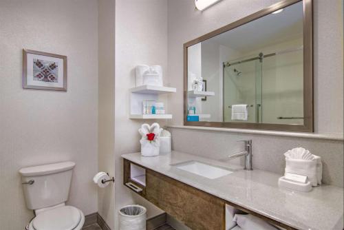 a bathroom with a sink and a toilet and a mirror at Hampton Inn Houston NASA-Johnson Space Center in Seabrook