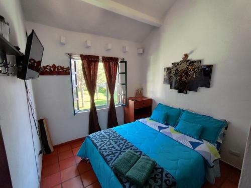 a bedroom with a blue bed and a window at Casa de Chavela in Villa de Leyva