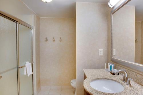 y baño con lavabo, aseo y ducha. en Hampton Inn Harrisonburg South, en Harrisonburg