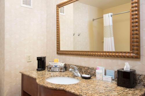 a bathroom with a sink and a mirror at Hampton Inn and Suites Indianapolis-Fishers in Fishers