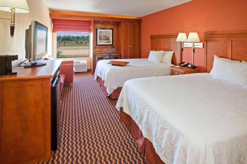 ein Hotelzimmer mit 2 Betten und einem Fenster in der Unterkunft Hampton Inn Joliet/I-80 in Joliet