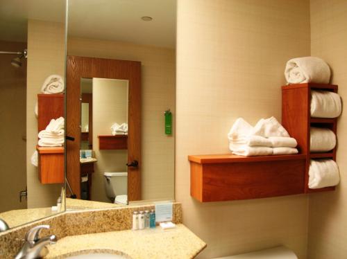 a hotel bathroom with a sink and a mirror at Hampton Inn Joliet/I-80 in Joliet