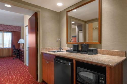 a hotel bathroom with a sink and a mirror at Embassy Suites by Hilton Loveland Conference Center in Loveland