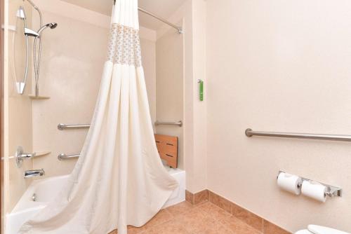 a bathroom with a shower curtain in a bathroom at Hampton Inn Houston-Deer Park Ship Area in Deer Park