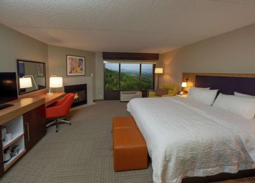 黑澤頓的住宿－黑澤爾頓希爾頓恆庭酒店，酒店客房设有一张大床和一台电视。
