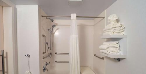 a bathroom with a shower and some towels at Hampton Inn Hazleton in Hazleton