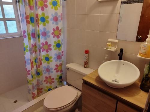 La salle de bains est pourvue d'un lavabo, de toilettes et d'un rideau de douche. dans l'établissement Casa de Chavela, à Villa de Leyva