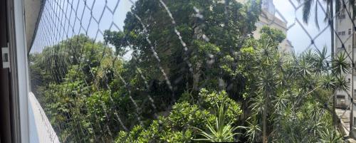 Apartamento em Ilha Porchat في ساو فيسينتي: حاجز اشجار ونباتات امام مبنى