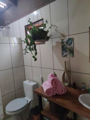 Koupelna v ubytování Rosa dos Ventos Chalés