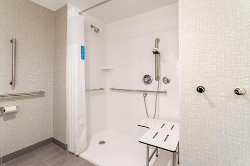 a bathroom with a shower and a sink at Hampton Inn & Suites Alachua I-75, FL in Alachua