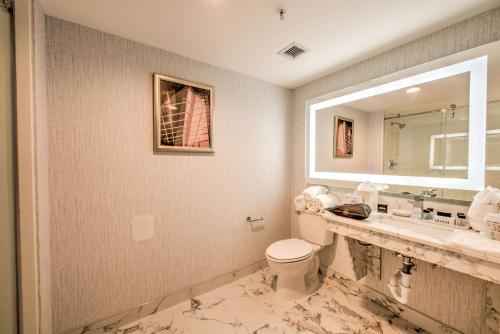 y baño con aseo, lavabo y espejo. en DoubleTree by Hilton Houston Brookhollow, en Houston