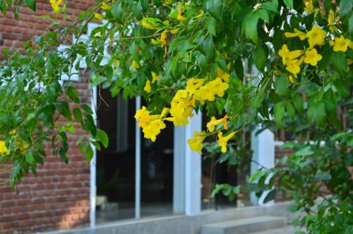 Taman di luar Vallee 69 Eco Villa-Tissa,Yala