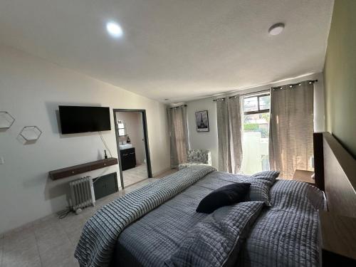 a bedroom with a large bed and a television at Santa Madre B&B in San Luis Potosí