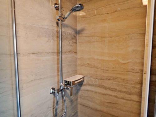 a shower with a shower head in a bathroom at Holiday home in Jasenice 40484 in Jasenice