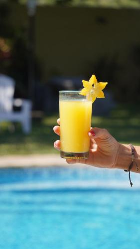 a hand holding a glass of orange juice with a flower on it at Posada Pittier 