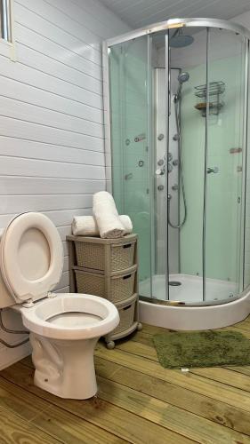 a bathroom with a toilet and a shower at La Cabaña Punta Negra in Punta Colorada