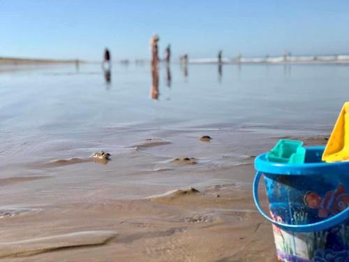 Photo de la galerie de l'établissement Maison avec terrasse à 300m de la plage - FR-1-231-68, à Bretignolles-sur-Mer