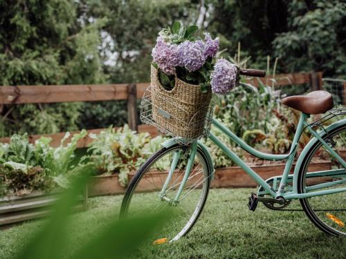a bike with a basket filled with purple flowers at Mountview Alpaca Farmhouse in Canungra