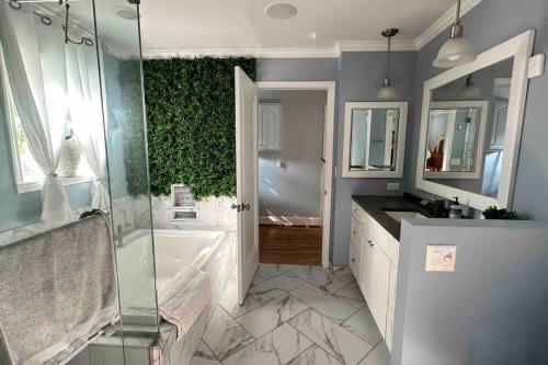 Bluebird Abode Stand Alone House 3 Bed 2 Full Bath في تشاتانوغا: حمام مع دش ومغسلة وحوض استحمام