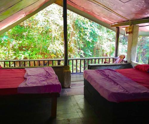 Habitación con 2 camas y balcón. en Cave N Falls Nature Resort & Water Park, en Kitulgala