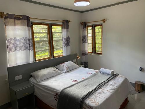 a bedroom with a bed and two windows at Rockville Abode in Iringa