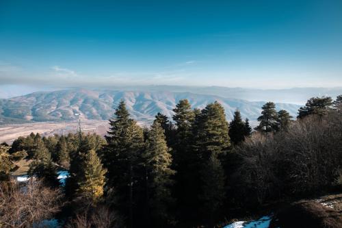 a group of trees with mountains in the background at Hotel Molika in Magarevo