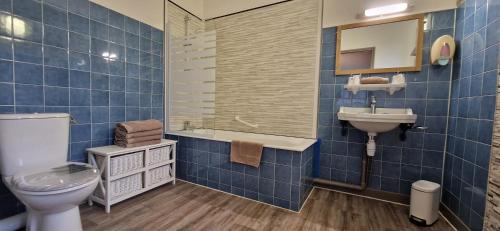 La salle de bains est pourvue de carrelage bleu, de toilettes et d'un lavabo. dans l'établissement Le Faubourg, à Figeac