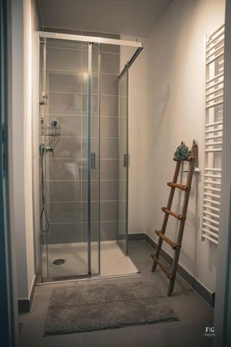 une douche avec une porte vitrée dans une salle de bain dans l'établissement Le Méribel - Conciergerie de la Yaute, à Sallanches