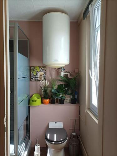 La salle de bains est pourvue de toilettes et de plantes sur une étagère. dans l'établissement Côte & Mer, à Criel-sur-Mer