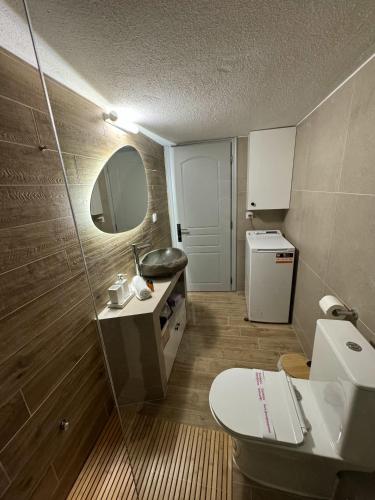 a bathroom with a toilet and a sink and a mirror at Uddo Apartment in Komotini