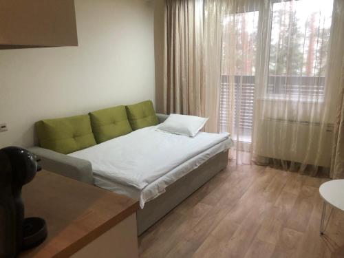 sypialnia z łóżkiem i dużym oknem w obiekcie Festa Chamkoria Apartments w Borowcu