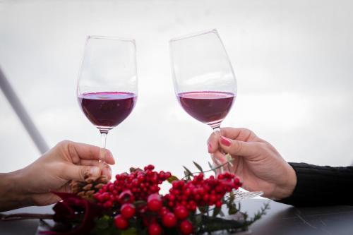 two people holding glasses of wine next to a bowl of berries at YUKARA Glamping 北海道大沼公園 in Ōnuma