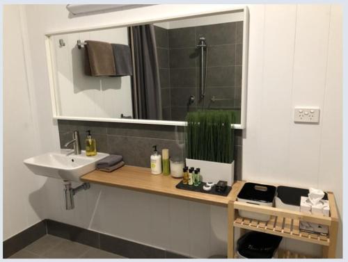 W łazience znajduje się umywalka i lustro. w obiekcie Appleyard Bed and Breakfast w mieście Forbes