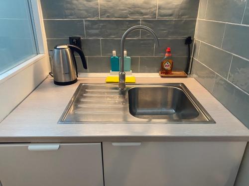 a kitchen counter with a sink in a kitchen at Park View Apartment in Amsterdam
