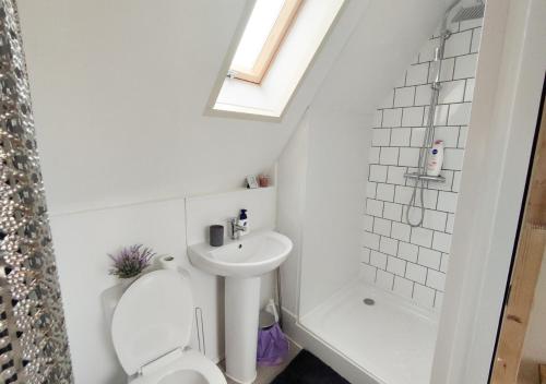 Baño pequeño con lavabo y aseo en 3 Serenity Cozy Gîte in Soucé, Sleeps 3, en Soucé