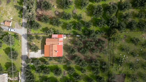 Letecký snímek ubytování Olive Grove Getaway
