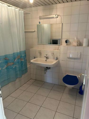 ein Badezimmer mit einem Waschbecken, einem WC und einem Spiegel in der Unterkunft Appartamento sul lago in Gambarogno