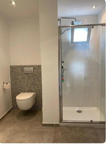 Un baño con inodoro y ducha de cristal. en Apartamento Patty, en Elche