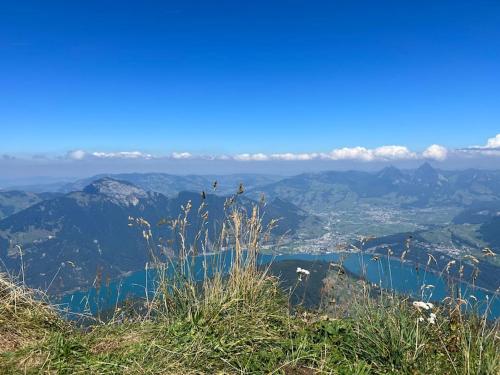 a view from the top of a mountain at Gemütliche Wohnung in Seelisberg in Seelisberg