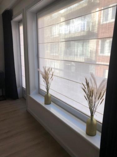 two plants in vases sitting on a window sill at HELIOS in Knokke-Heist